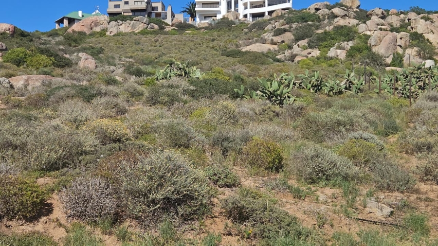 0 Bedroom Property for Sale in Blueberry Hill Western Cape